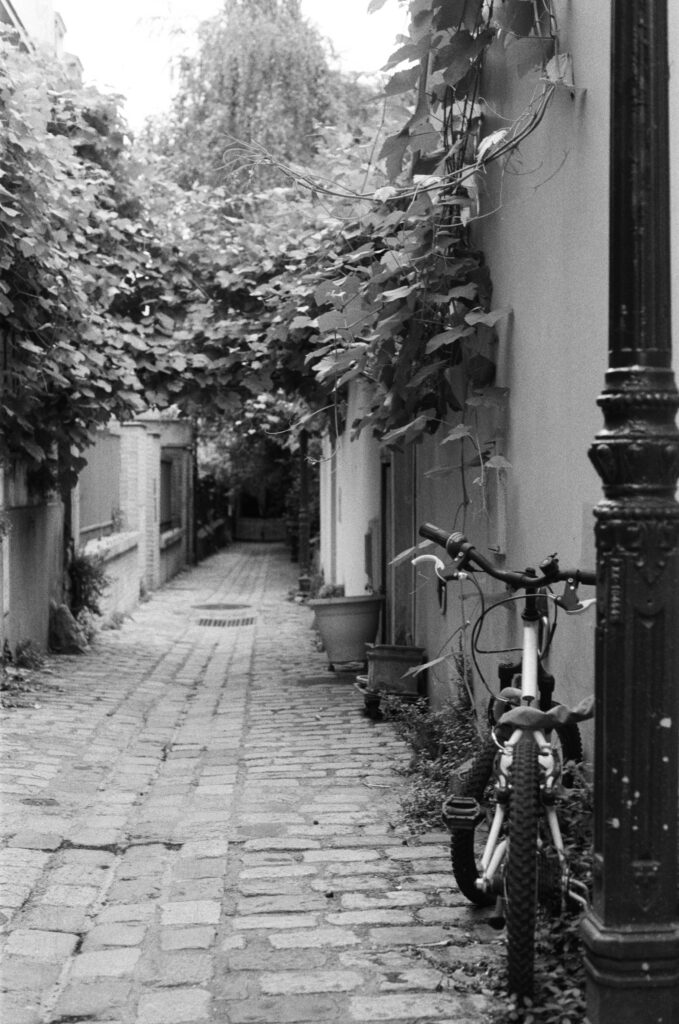 An impasse near rue des Vignobles, Paris